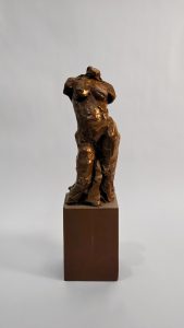 Bronze Female Torso